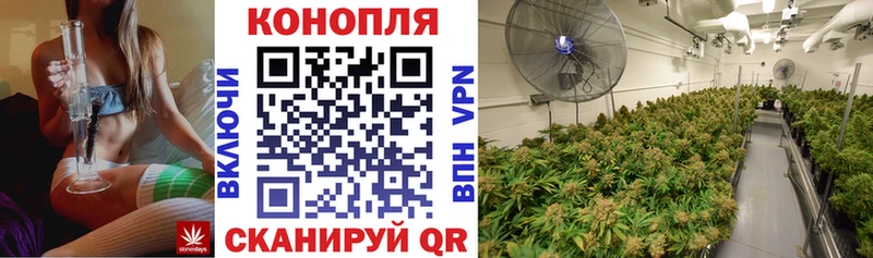 Наркошоп купить APVP Кокаин ГАШИШ АМФЕТАМИН МАРИХУАНА Лсд 25 Меф Бородино
