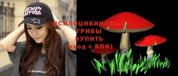 эйфоретик Магас