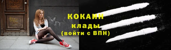 стаф Липки