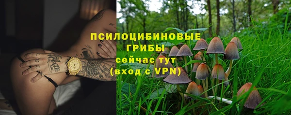 эйфоретик Магас